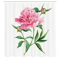 thumbnail image 3 of Ambesonne Nature Shower Curtain, Vintage Peony, 69"Wx75"L, Pink White Green, 3 of 5