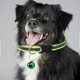thumbnail image 5 of Collar reflectante con cierre de velcro para mascotas. Collar ajustable sin hebilla para perros/gatos con correa de visibilidad nocturna., 5 of 5
