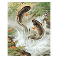 thumbnail image 2 of KLKCMS 15 Styles No Canvas Acrylic Paint Painting by Numbers Kits Two Carps, 2 of 6