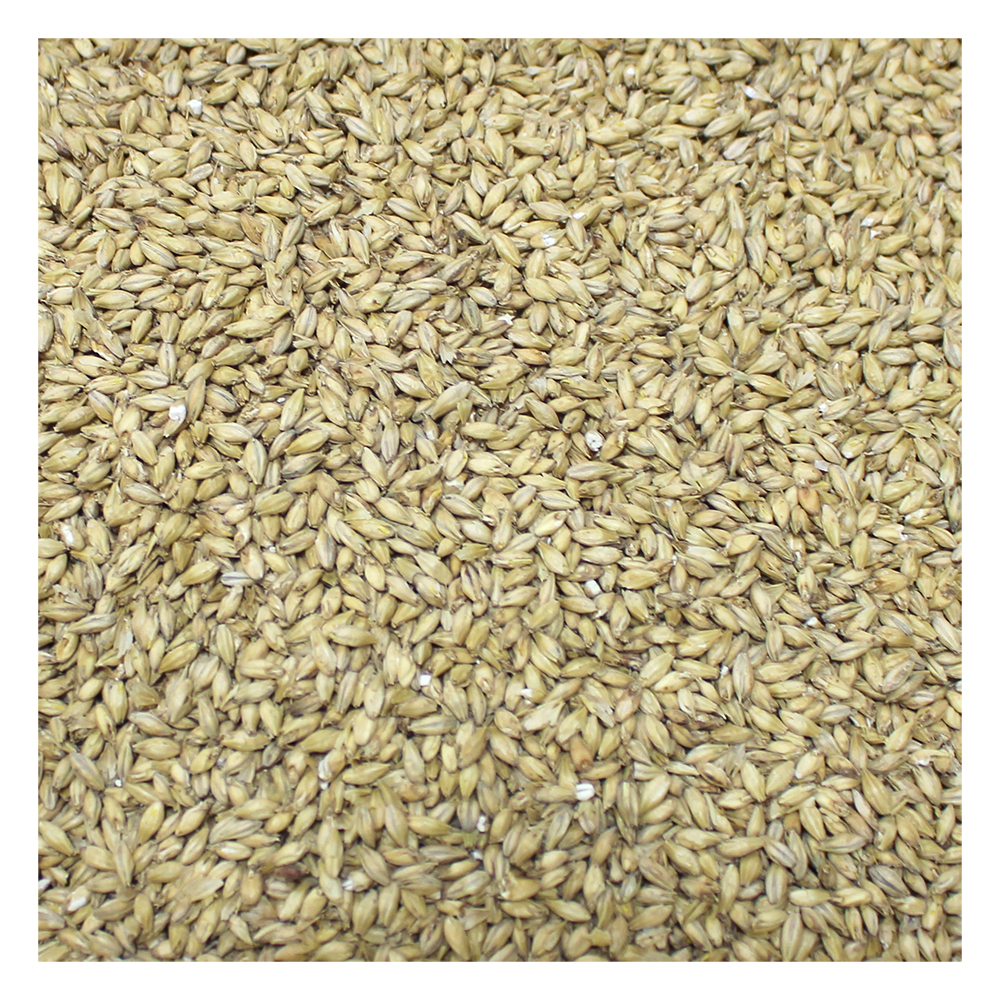 2Row Brewers Malt For Home Brewing Whole Grain (50 lb)