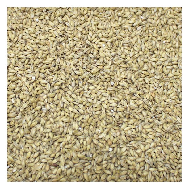 2Row Brewers Malt For Home Brewing Whole Grain (50 lb)