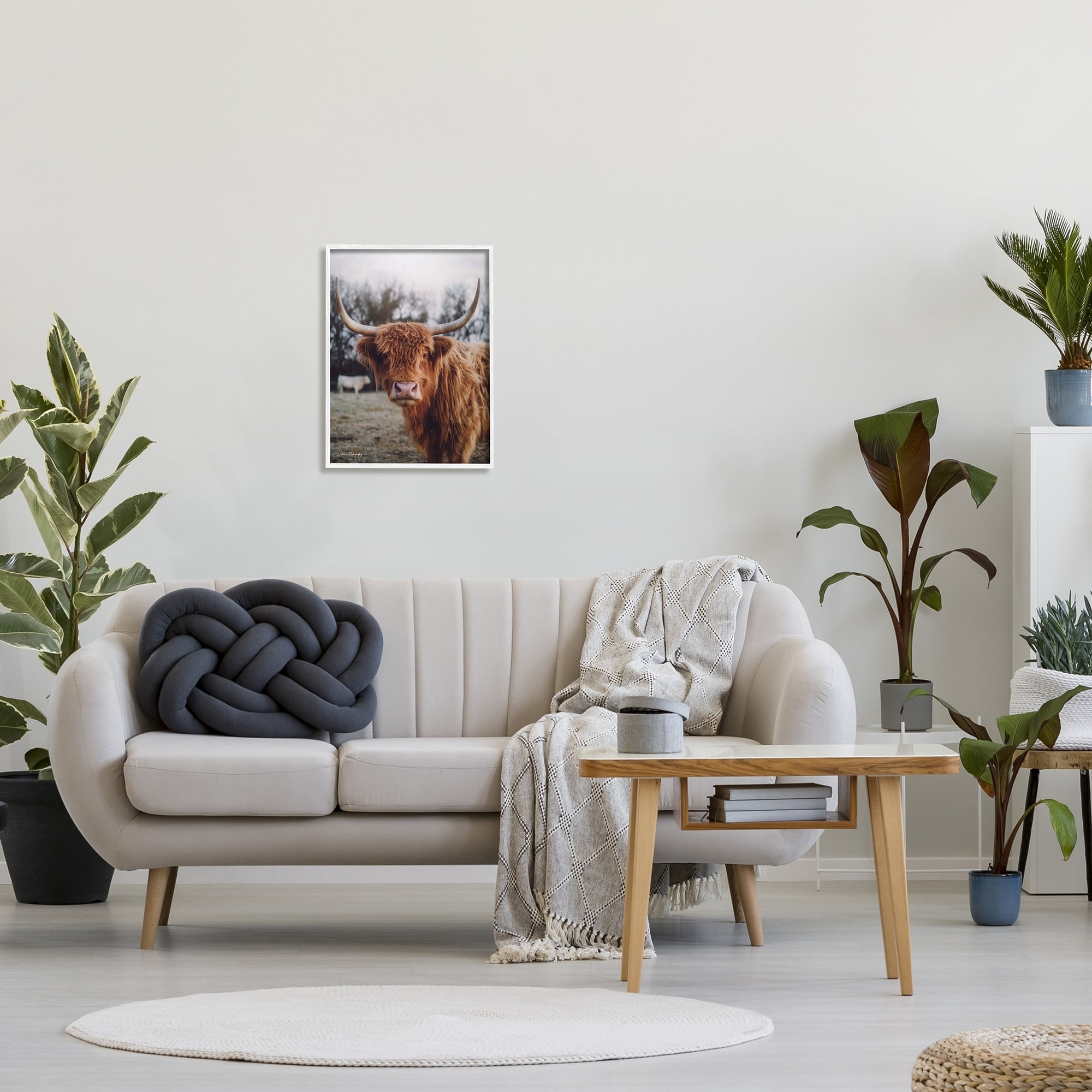 Stupell Industries Highland Cattle Cow Gazing Warm Sunny Portrait Photograph White Framed Art Print Wall Art, Design by Dakota Diener