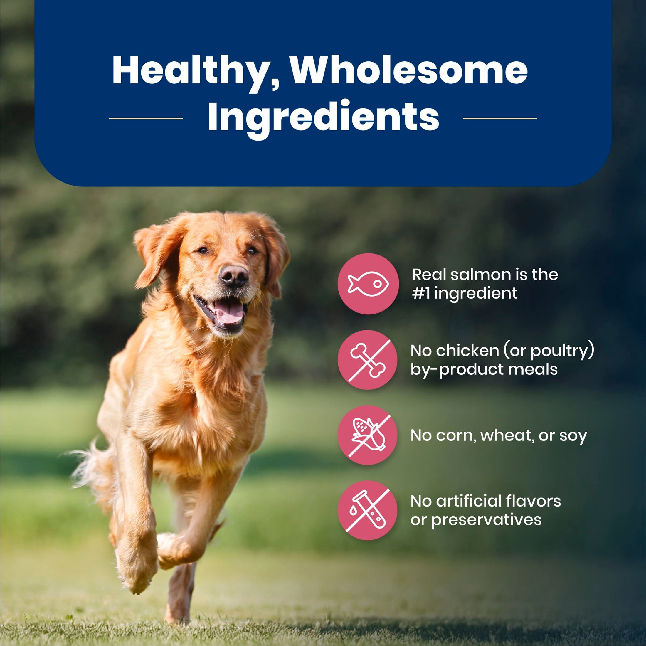 Blue Buffalo Life Protection Formula Adult Dry Dog Food, Salmon, Chicken Free, 15lbs