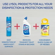 Professional Lysol Disinfectant Spray, Lavender, 19oz