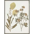 thumbnail image 2 of Goldberger, Jennifer 25x32 Black Ornate Wood Framed with Double Matting Museum Art Print Titled - Book-Pressed Flowers I, 2 of 4