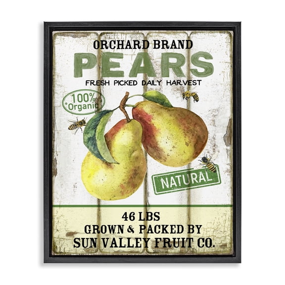 Stupell Industries Farmhouse Farm Orchard Pears Black Floating Frame Canvas Art, 17 x 21, by Creatif Belle