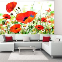 Tiptophomedecor Floral Wallpaper Wall Mural - Country Poppies