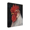 thumbnail image 2 of Trademark Fine Art 'Rooster Portrait II' Canvas Art by Ethan Harper, 2 of 4