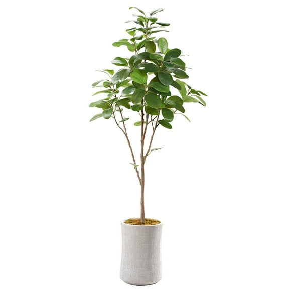D&W Silks 7' Audrey Ficus in White Round Planter