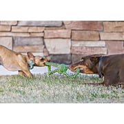 Jolly Pets Knot-N-Chew Gentle Tug Rope Bungee Handles Large/Extra-Large Dog Toy