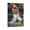 Frame-style, variant on Anthony Santander Canvas Poster Canvas Wall Art Poster Decorative Bedroom Modern Home Print Picture Artworks Posters 24x36inch(60x90cm)