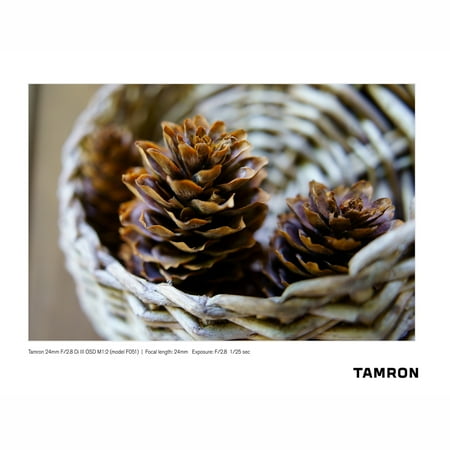 Tamron - 24mm F/2.8 Di III OSD M1:2 Wide Angle Lens for Sony E-Mount