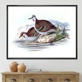 thumbnail image 2 of Designart 'Ancient Australian Birds IX' Traditional Framed Canvas Wall Art Print, 2 of 5