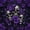 Violet Black, variant on Castle Fairy Spooky Skull Full Size Comforter Sets 3-Piece,Boho Rose Butterfly Bedding Comforter Set,Violet Blacks,1 Comforter and 2 Pillowcases,Black Reversible