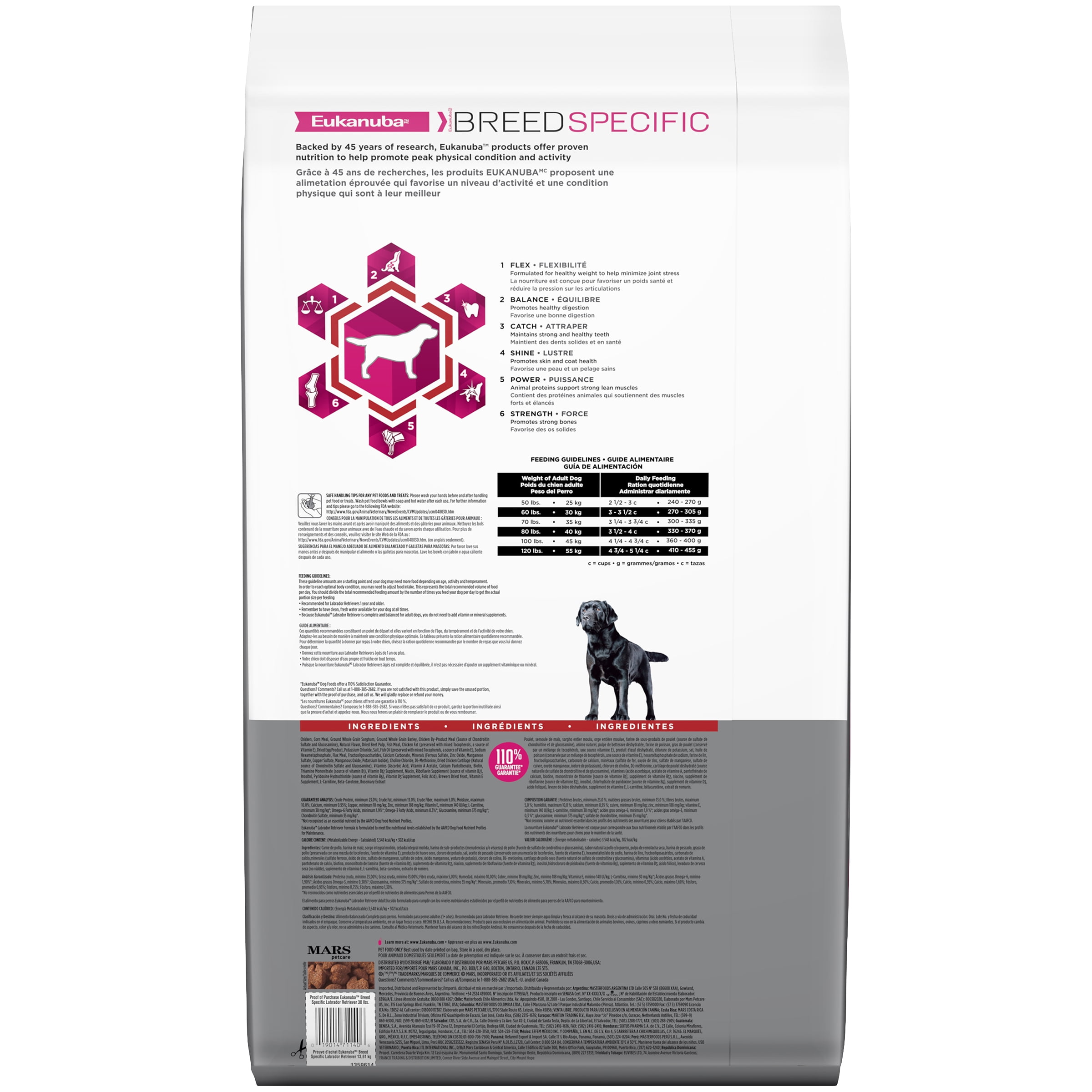 eukanuba labrador