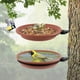 thumbnail image 4 of Comedero y baño para pájaros al aire libre de 2 piezas, bebedero para pájaros para balcón, baños para pájaros salvajes, comedero para pájaros al aire libre, baño para pájaros, bebedero para pájaros de jardín Divine Ink Store Rojo Verde, 4 of 5