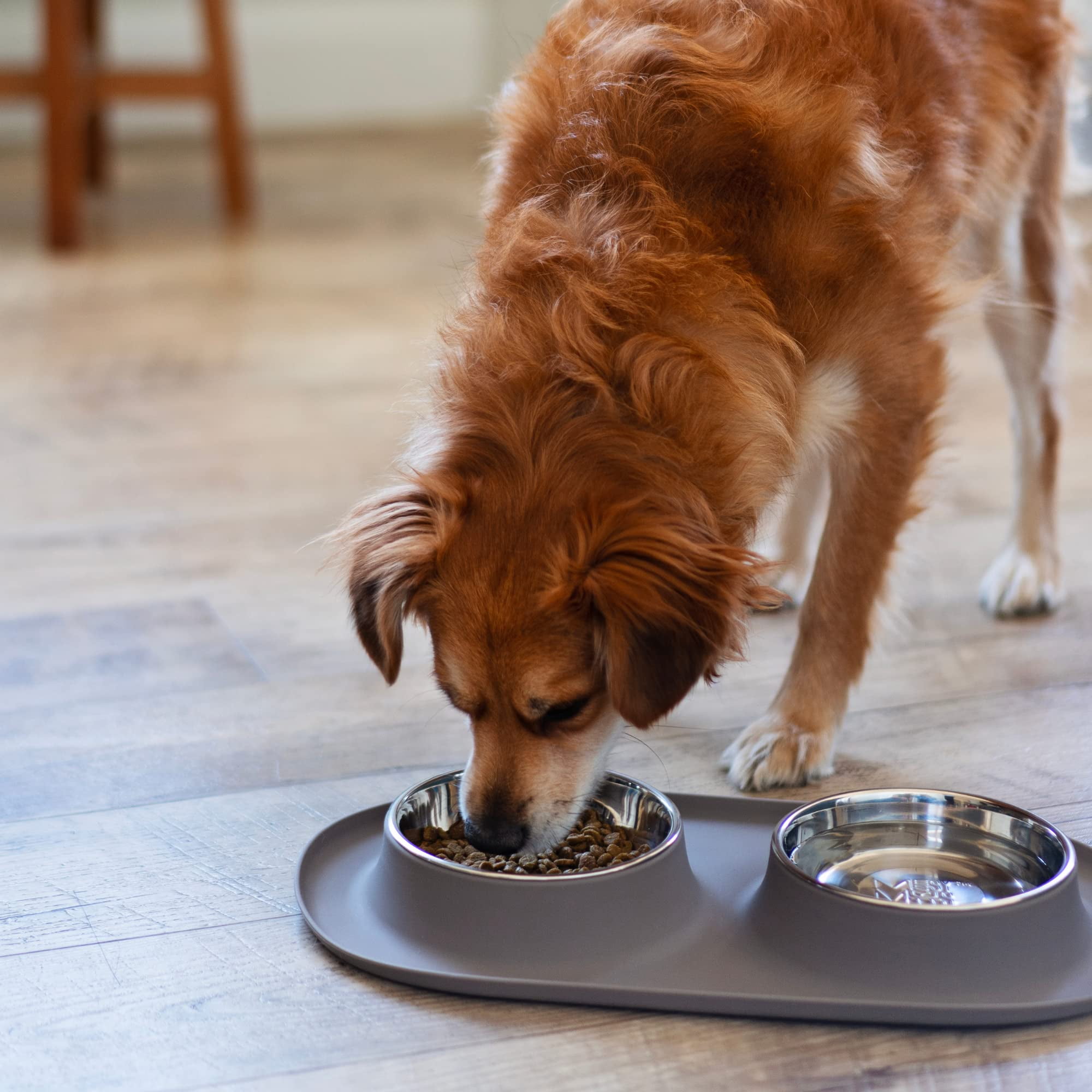 Messy Mutts Double Silicone Feeder with Stainless Bowls | Non-Skid Food Dishes for Dogs | Sizes Available for All Pets | Dog Food Bowls | Large, 3 Cups Per Bowl | Grey