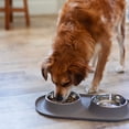thumbnail image 2 of Messy Mutts Double Silicone Feeder with Stainless Bowls | Non-Skid Food Dishes for Dogs | Sizes Available for All Pets | Dog Food Bowls | Extra-Large, 6 Cups Per Bowl | Grey, 2 of 7