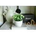 thumbnail image 6 of Mainstays 7.5” Artificial Eucalyptus and Flower in White Ceramic Pot Made for Tabletops – 1.1 lbs, 6 of 12