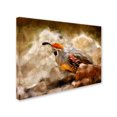 thumbnail image 2 of Trademark Fine Art "Hurrying Quail" Canvas Art by Lois Bryan, 2 of 3