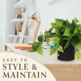 thumbnail image 2 of ARTIFICIAL POTHOS PLANT IN BLACK POT (2 Pack), 2 of 5