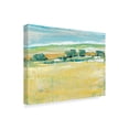 thumbnail image 2 of Trademark Fine Art 'Summer Heat I' Canvas Art by Tim OToole, 2 of 4