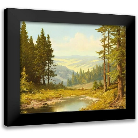 Bochmann, Joh. 14x12 Black Modern Framed Museum Art Print Titled - QUIET POND