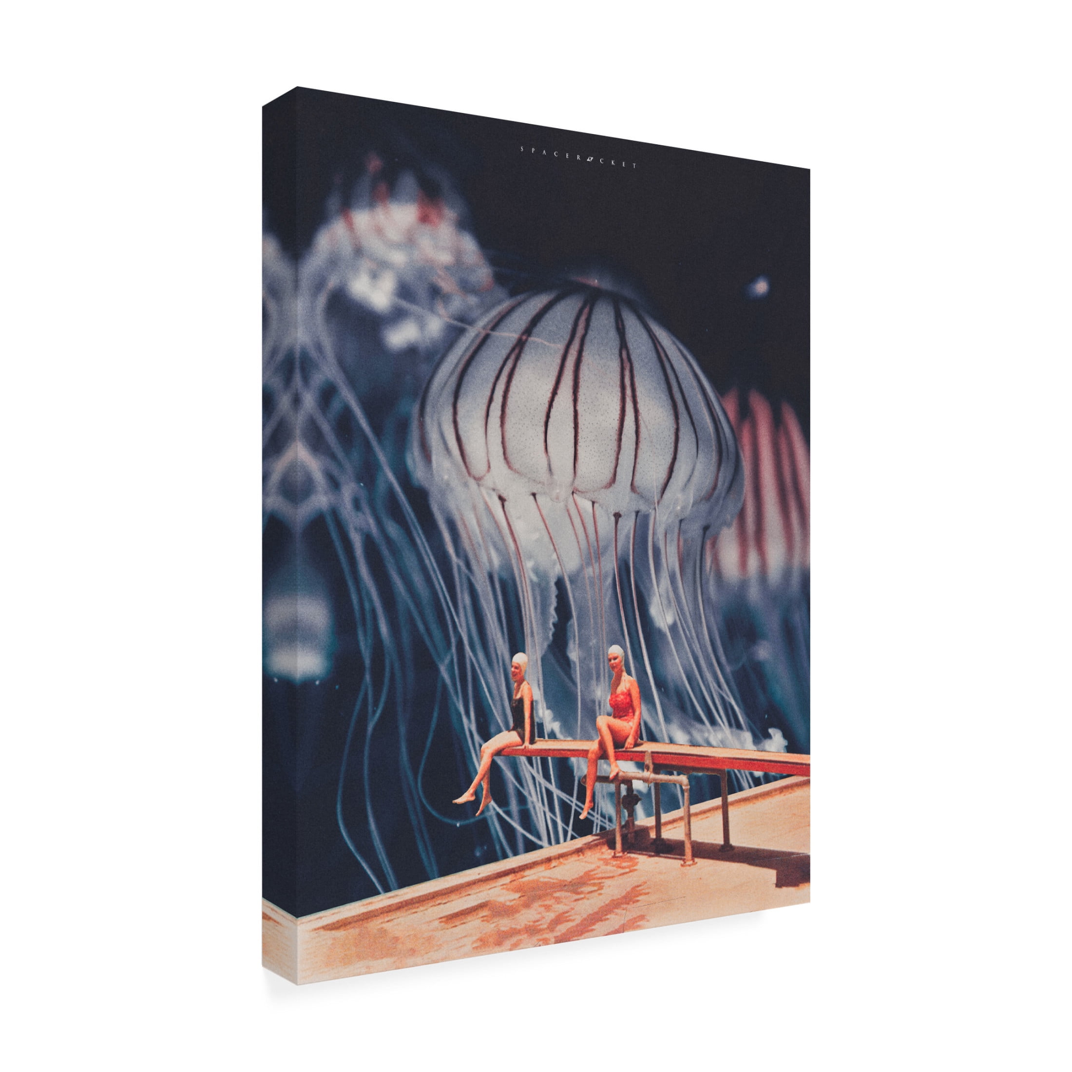 Trademark Fine Art spacerocket art  238 Canvas Wall Art