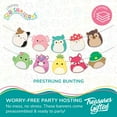 thumbnail image 3 of Squishmallows Banner & Pennants Kit - Squishmallows Party Decorations, 3 of 8