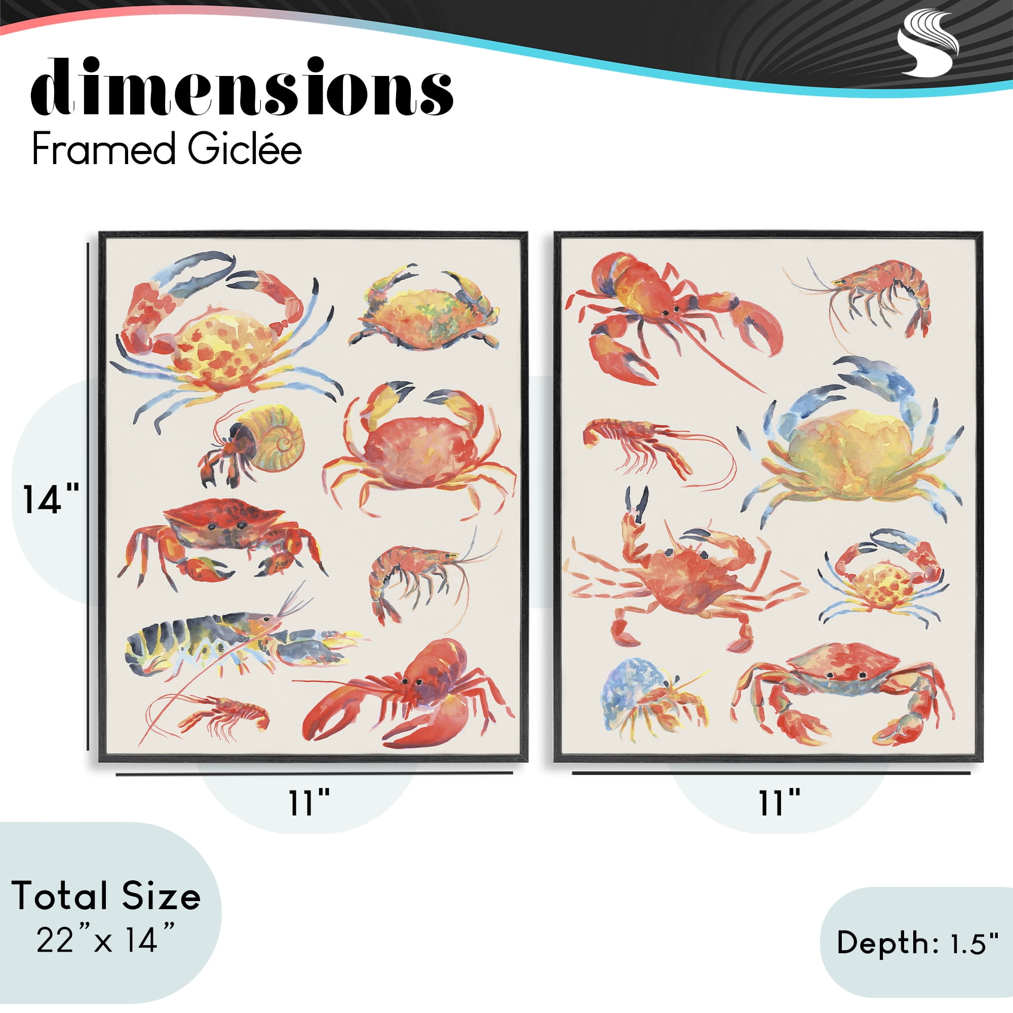 Stupell Industries Aquatic Crustacean Collection 2 Piece Black Framed Giclee Art Set, design by June Erica Vess