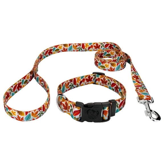 Country Brook Petz® Deluxe Brisk Autumn Dog Collar and Leash, 2XS
