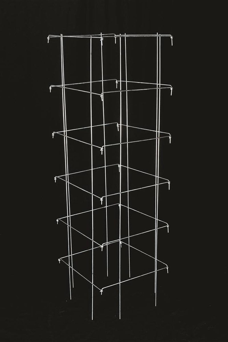 Tomato Cage (Set of 2)