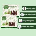 thumbnail image 5 of Cannabis Scented Incense Cones - Total 20 Cone Incense - Dual Pack of 10 Insence Cones - Incense Cones Scented - Cone Incense Scents - Insense Cones - Incent Cone, 5 of 5