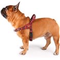 thumbnail image 1 of Xianyou-Bordeaux Français Harnais Réglable Boucle Verrouillée avec Poignée pour Chiens Frenchie Pug English Boston Terrier, Grille Rouge, Grand, 1 of 4