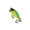 C, variant on Topwater Popper Fishing Tackle Surface Splash Action Hard Fishing Plug for Bass Perch and Saltwater Species 2.6 Inches 0.35 oz