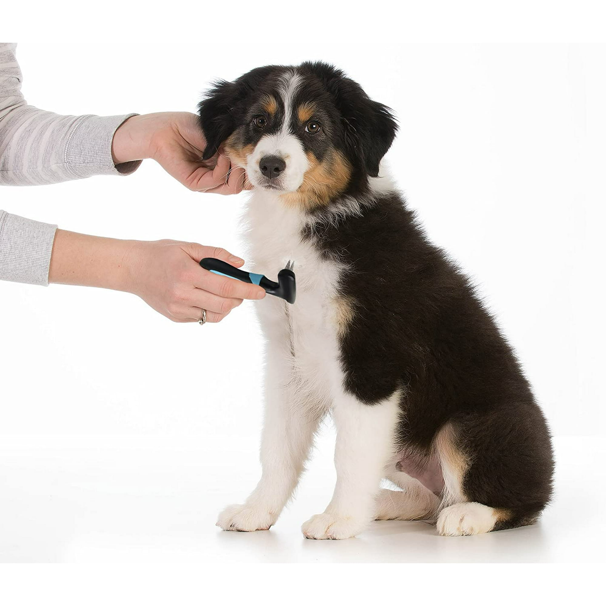 undercoat rake for dogs -Pet Grooming Brush, for shedding is used