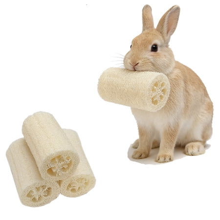 3 PCS Rabbit Chew Toys, 100% Natural Loofah, Safe Teeth Grinding Toys for Rabbits, Chinchillas, Guinea Pigs and Small Animals, Fiber-Rich Chew Treats