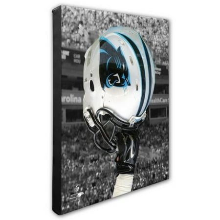 Nfl Hand Signed 16x20 Photograph - Photo File Carolina Panthers Team Helmet Canvas Print Picture Artwork 16x20 NFL