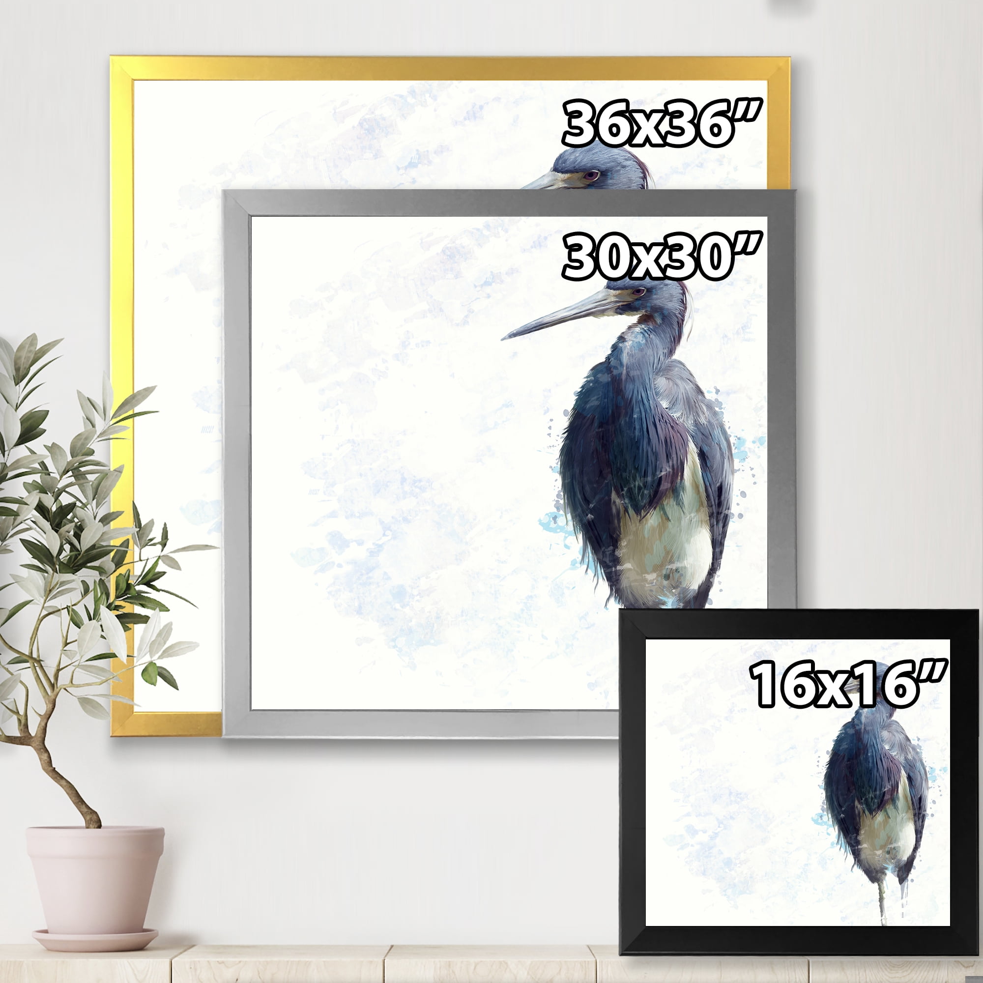 Designart 'Tricolored Heron Bird On White' Farmhouse Framed Art Print