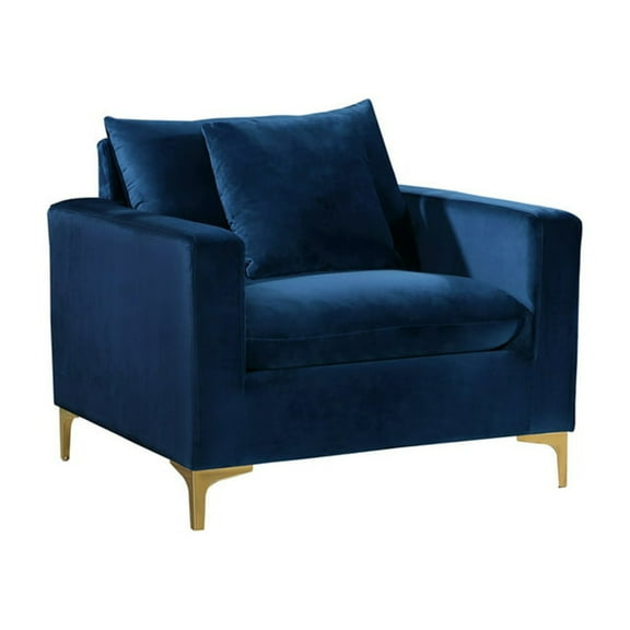 Homestock Rococo Romance Velvet Chair , Contemporary