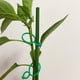 thumbnail image 5 of 200 clips de soporte para plantas clips reutilizables para enrejado de vid para asegurar plantaciones, 5 of 9