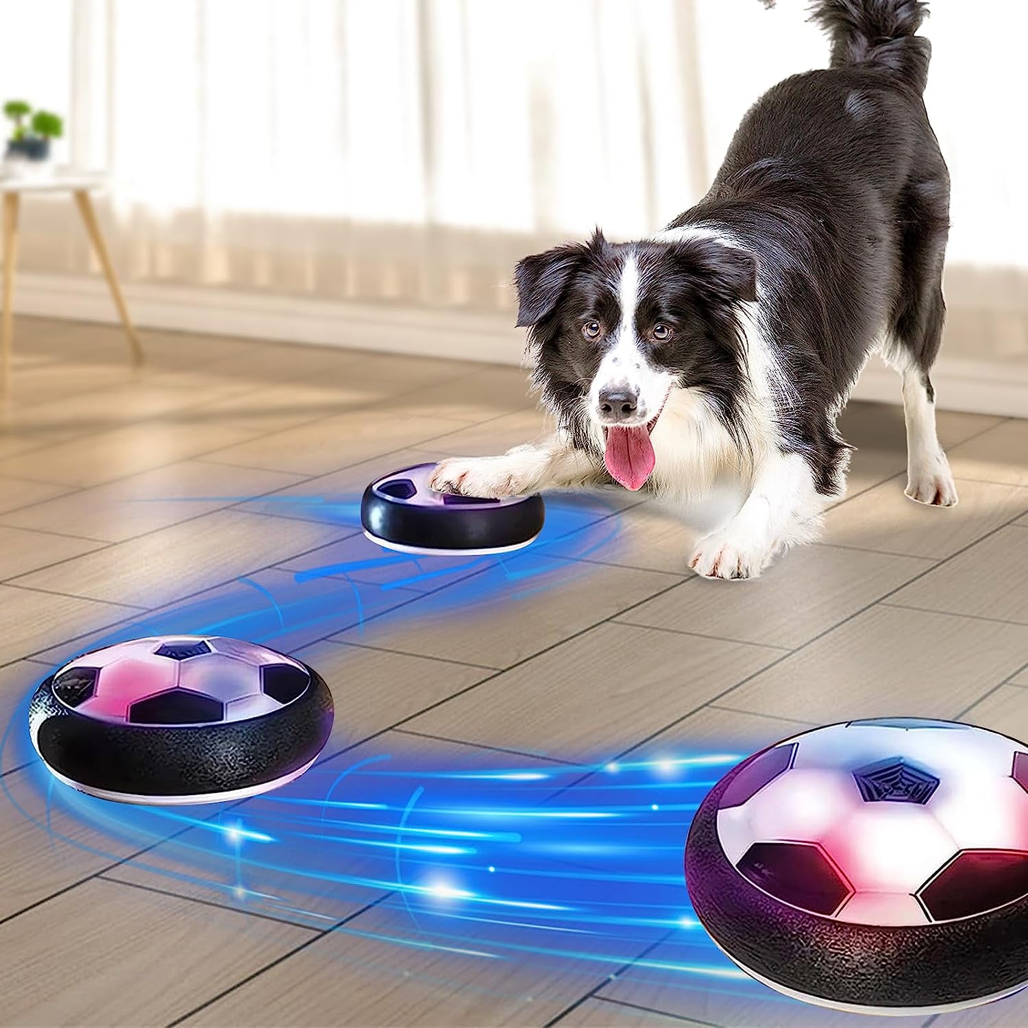 New Active Gliding Disc, Active Gliding Disc for Dogs with Cool Lighting  Effects, Interactive Gliding Disc Dog Toy – K.C. Corner Shop