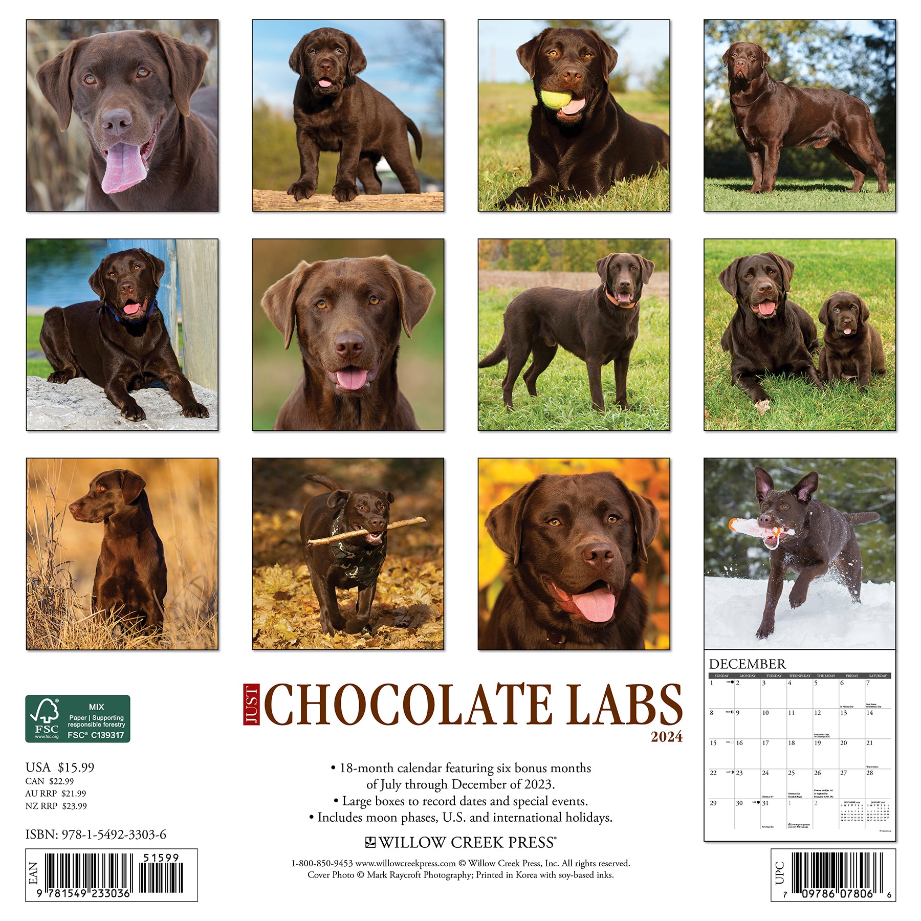 Just Labs 2024 Calendar Just Chocolate Labs 2024 12 X 12 Wall Calendar (Other) - Walmart