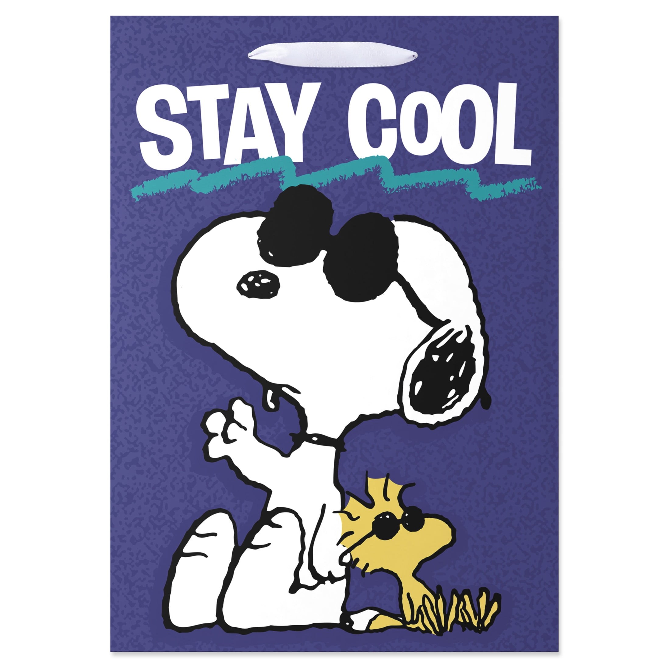American Greetings 10 in. Blue Medium Snoopy and Woodstock Gift Bag, Stay Cool (1-Count)