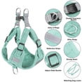 thumbnail image 2 of Dog Harness, Dog Harness Small Breed, Pet Harness with A Easy Control Leash, Easy Walk Pet Harness and No Choke Vest Harness for Medium or Small Breeds, 2 of 6