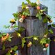 thumbnail image 3 of Guirnalda de luces artificiales con hojas verdes y flores de 2 a 10 m, guirnalda navideña alimentada por USB o batería para decoración del hogar, 3 of 5
