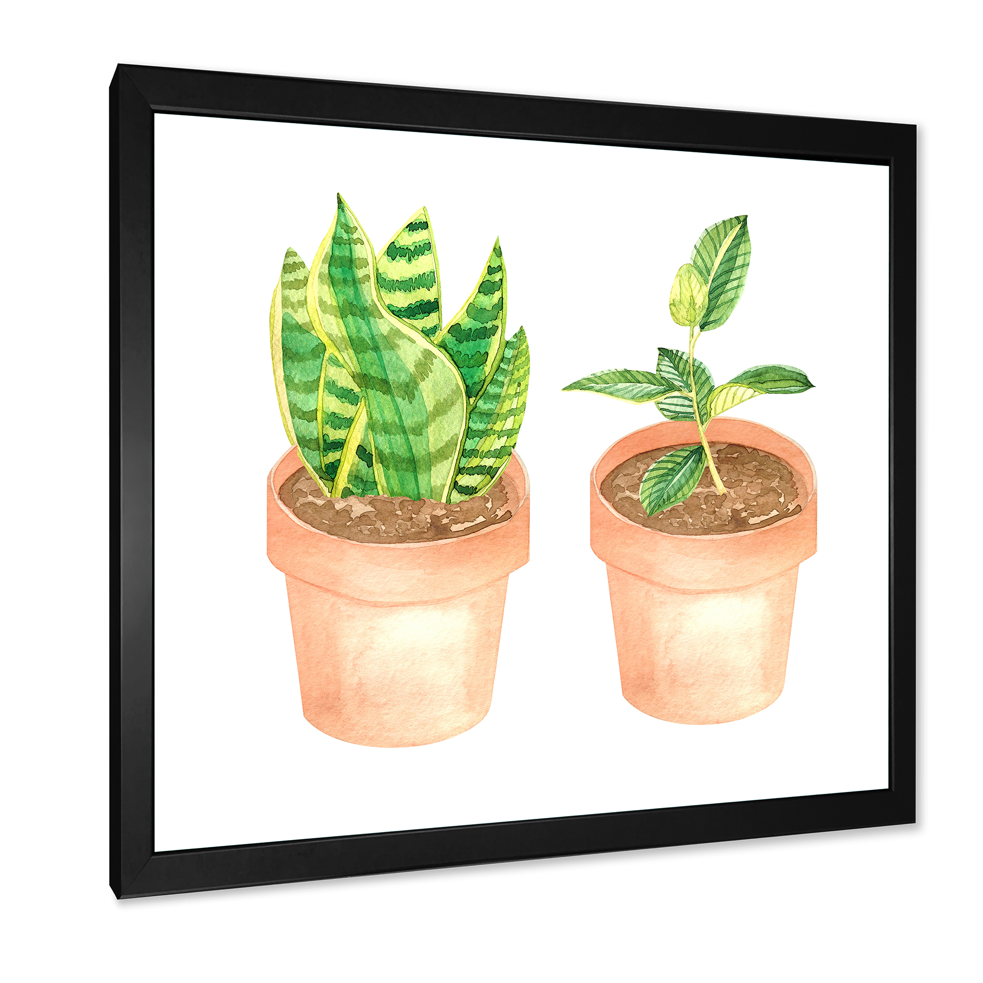Designart 'Ficus and Sansevieria Indoor Green Home House Plants' Traditional Framed Art Print