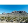 thumbnail image 2 of Highmith, Carol 14x11 Black Ornate Wood Framed with Double Matting Museum Art Print Titled - Scenery in Big Bend National Park, TX, 2 of 4