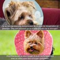 thumbnail image 2 of Col Post-Chirurgical Confortable pour Chats et Chiens, Robuste, Imperméable, resi, 2 of 5