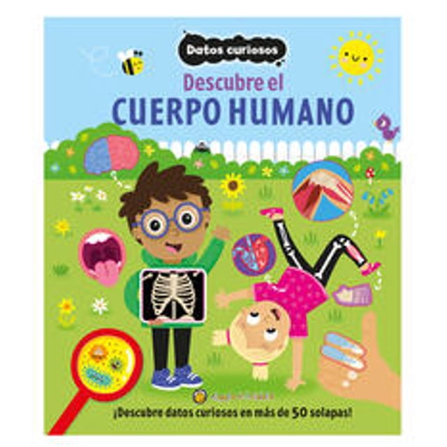 Libro Descubre El Cuerpo Humano: Datos Curiosos Tapa Blanda, Autor Editorial Guadal, Editorial Editorial Guadal